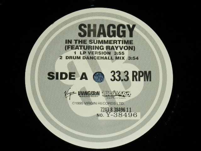 画像: SHAGGY - IN THE SUMMERTIME  ( MINT-/MINT-) /  1995  US AMERICA  ORIGINAL Used 12" 