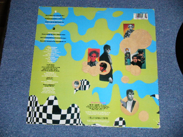 画像: PLASTICLAND ( NEO-AMERICAN PSYCHE)  - WONDER WONDERFUL WONDERLAND ( Ex++/MINT-)   / 1985 US AMERICA ORIGINAL Used LP 
