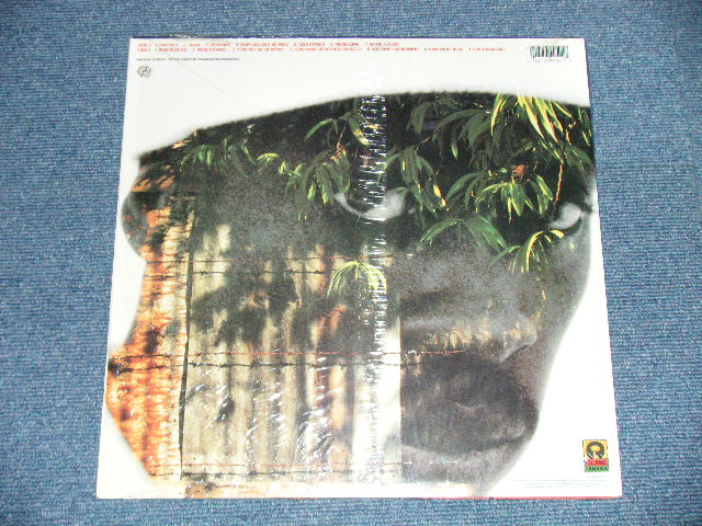 画像: BEENIE MAN - BLESSED ( MINT/MINT ) /  1995  US AMERICA  ORIGINAL Used LP