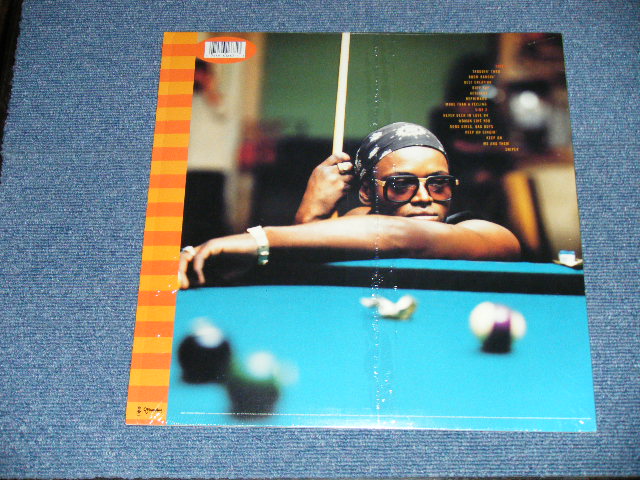 画像: LT. STITCHIE - GANGSTA  ( MINT/MINT- ) /  1995  US AMERICA  ORIGINAL Used LP