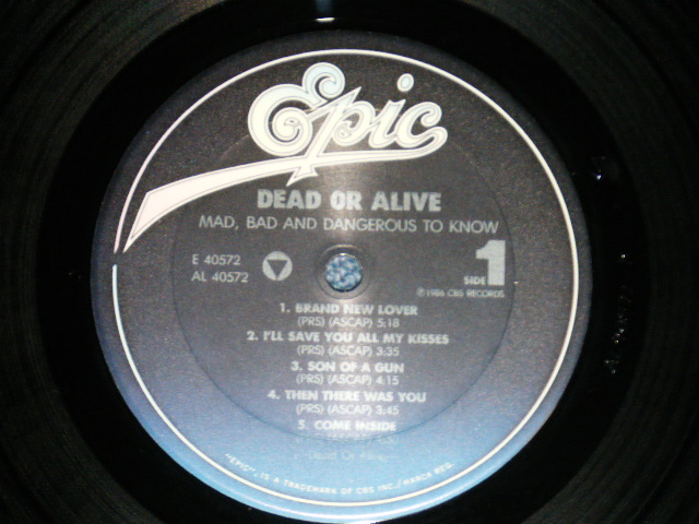 画像: DEAD OR ALIVE  - MAD, BAD, AND DANGEROUS TO KNOW ( MINT/MINT )   / 1986 US AMERICA  ORIGINAL Used LP 