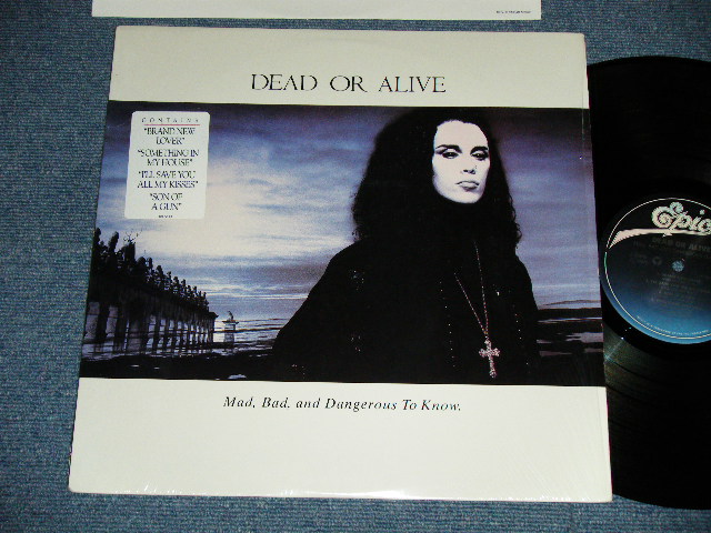 画像1: DEAD OR ALIVE  - MAD, BAD, AND DANGEROUS TO KNOW ( MINT/MINT )   / 1986 US AMERICA  ORIGINAL Used LP 