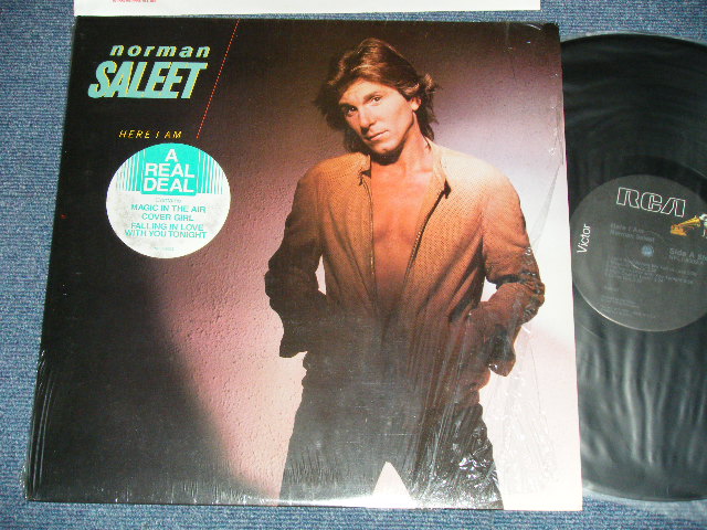 画像1: NORMAN SALET - HERE I AM ( MINT/MINT-)  / 1982 US AMERICA ORIGINAL Used LP 