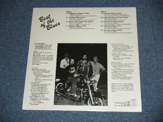 画像: NIGHTHAWKS - SIDE POCKET SHOT  ( SEALED : BB ) / 1977 US AMERICA ORIGINAL "BRAND NEW SEALED"  LP  