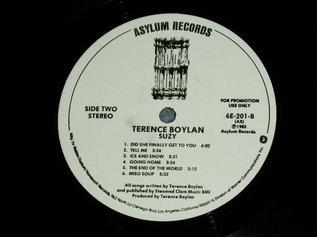 画像: TERENCE BOYLAN - SUZY  ( Ex++/MINT- ) / 1980 US AMERICA ORIGINAL "WHITE LABEL PROMO" Used LP 