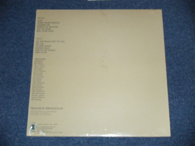 画像: TERENCE BOYLAN - SUZY  (MINT/MINT) / 1980 US AMERICA ORIGINAL Used LP 