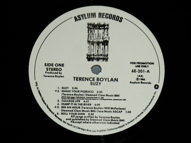 画像: TERENCE BOYLAN - SUZY  ( Ex++/MINT- ) / 1980 US AMERICA ORIGINAL "WHITE LABEL PROMO" Used LP 