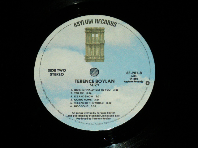 画像: TERENCE BOYLAN - SUZY  (MINT/MINT) / 1980 US AMERICA ORIGINAL Used LP 