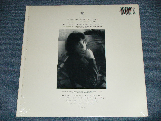 画像: ROBERT LAMM  of CHICAGO - SKINNY BOY   ( MINT/MINT )   / 1980's  US AMERICA  REISSUE Used  LP