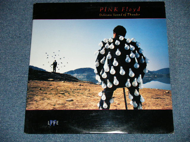 画像: PINK FLOYD - DELICATE SOUND OF THUNDER ( Ex+/MINT-)  / 1988  US AMERICA ORIGINAL Used 2-LP's 
