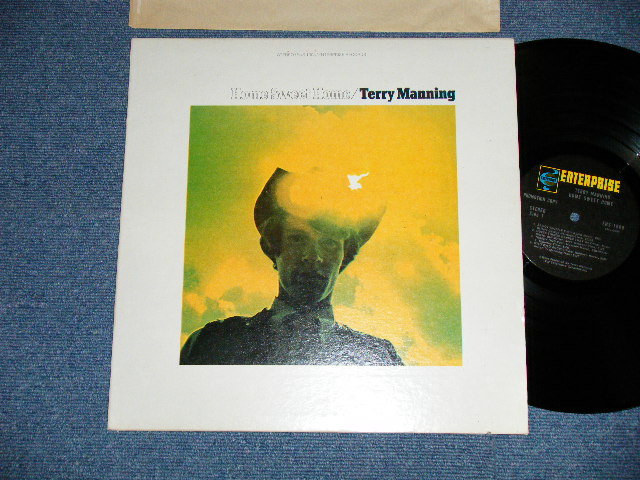画像1: TERRY MANNING - HOME SWEET HOME  (Ex+/MINT-) / 1971? US AMERICA ORIGINAL "PROMO" Used LP 
