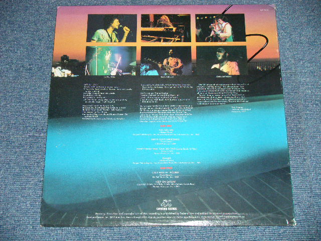 画像: DEL REY and The BLUES GATORS - CAFE SOCIETY (WHITE BLUES) (MINT-/Ex+++ Looks:MINT-) / 1985 US AMERICA ORIGINAL Used LP 