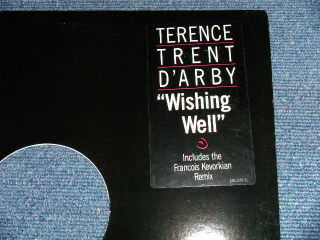 画像: TERENCE TRENT D'ARBY - WISHING WELL  ( Ex+++/MINT-)  / 1987 US AMERICA ORIGINAL "PROMO ONLY" Used 12" 