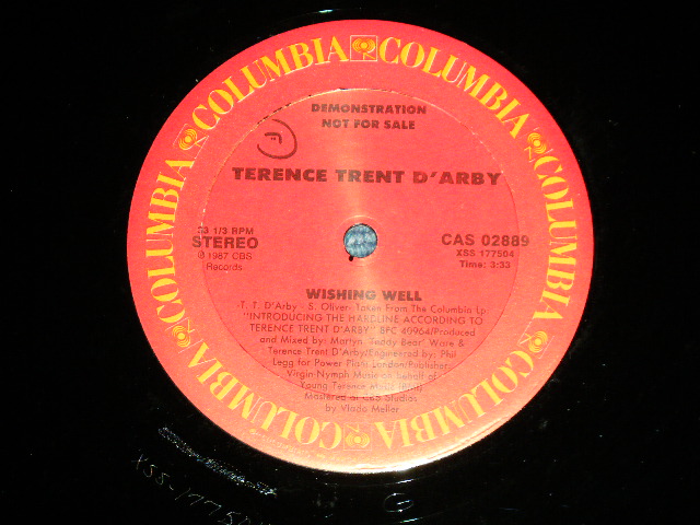 画像: TERENCE TRENT D'ARBY - WISHING WELL  ( Ex+++/MINT-)  / 1987 US AMERICA ORIGINAL "PROMO ONLY" Used 12" 