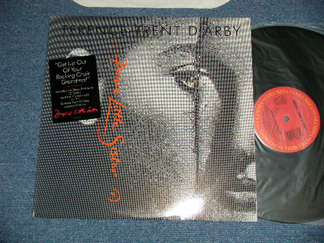 画像1: TERENCE TRENT D'ARBY - DANCE LITTLE SISTER  ( Ex+++/MINT-)  / 1987 US AMERICA ORIGINAL "PROMO ONLY" Used 12" 