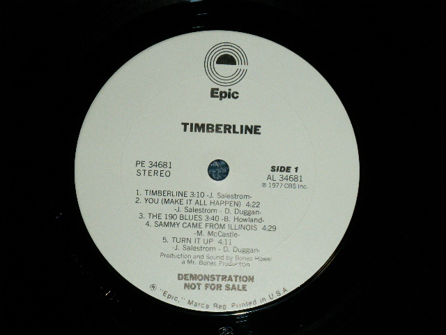 画像: TIMBER LINE - THE GREAT TIMBER RUSH  ( Ex+/MINT- ) / 1977 US AMERICA ORIGINAL "WHITE LABEL PROMO" Used LP 