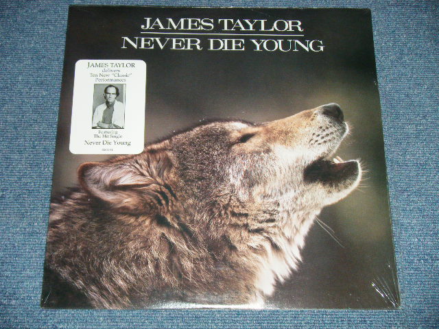 画像1: JAMES TAYLOR - NEVER DIE YOUNG  ( SEALED )  / 1988 US AMERICA ORIGINAL  "BRAND NEW SEALED" LP 