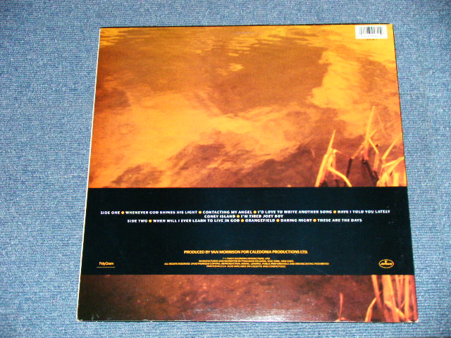 画像: VAN MORRISON - AVALON SUNSET( Ex++/MINT-)  / 1989 US AMERICA  ORIGINAL Used L