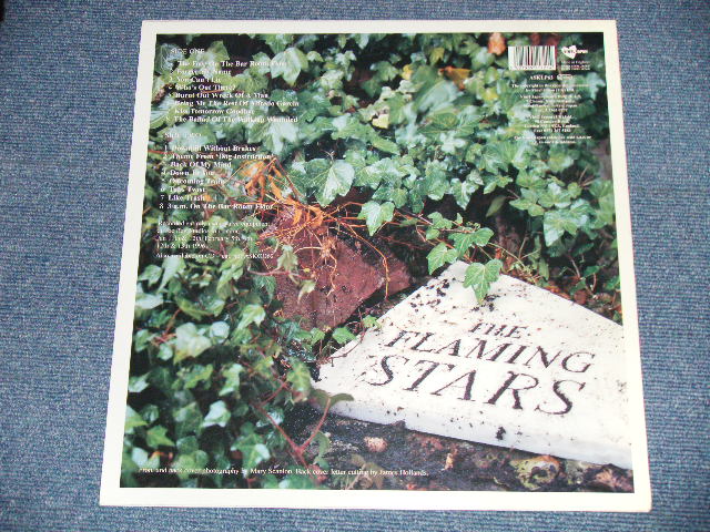 画像: The  FLAMING STARS - SONGS FROM THE BAR ROOM FLOOR ( MINT-/MINT-) /  1996 UK ENGLAND ORIGINAL Used LP 