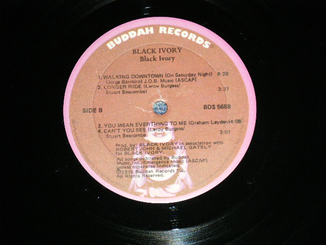 画像: BLACK IVORY - BLACK IVORY ( Ex+++/MINT-)   / 1976 US AMERICA ORIGINAL Used LP 