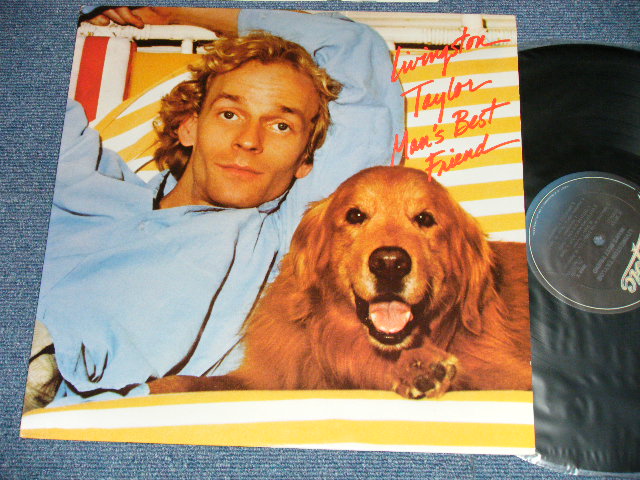 画像1: LIVINGSTON TAYLOR - MAN'S BEST FRIEND  (MINT-/MINT-) / 1980 US AMERICA ORIGINAL Used LP 