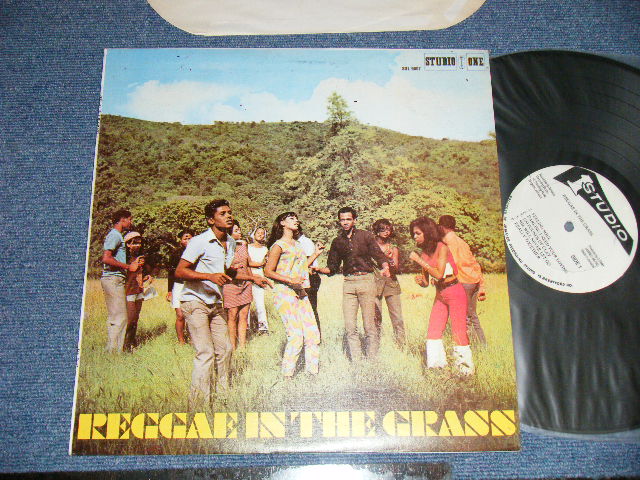 画像1: V.A. OMNIBUS (Sound Dimensions, Bob Andy, John Holt, Roy Richards, Larry & Alvin, Bob & Marcia, Clive Alphonso, Val Bennett, Delroy Wilson, The Consumates, ) - REGGAE IN THE GRASS  ( Ex+++/MINT-)  / JAMAICA  Used LP 