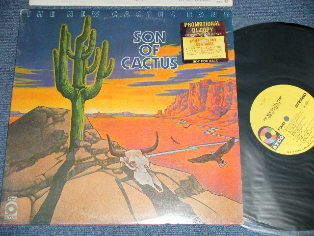 画像1: The NEW CACTUS BAND-  SON OF CACTUS  ( Matrix #   A) ST-C-732777-C Re  MR AtlGP ▵17828(1)  B) ST-C-732778-C  MR Re AtlGP ▵1782 -x (1)) ( Ex++/MINT-) / 1973 US AMERICAN ORIGINAL  "PROMO" 1st Press "YELLOW Label" 1st Press "1841 BROADWAY Label"  Used LP 