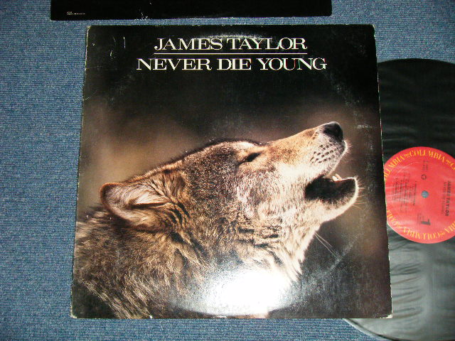 画像1: JAMES TAYLOR - NEVER DIE YOUNG  ( Ex+/Ex+++ Looks:MINT- ) / 1988 US AMERICA ORIGINAL Used  LP