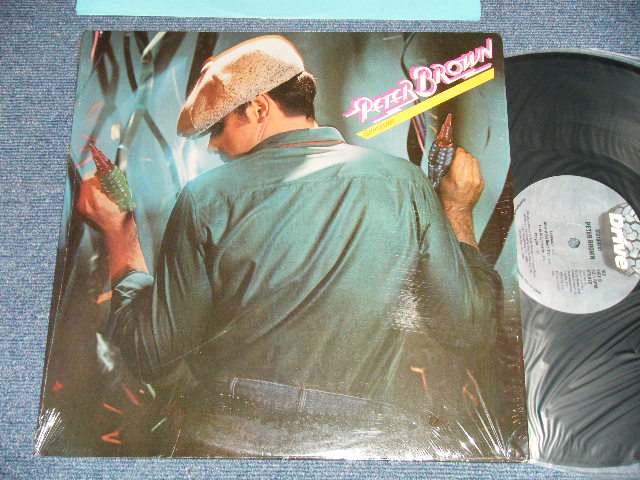 画像1: PETER BROWN - STARGAZER (MINT-/MINT-) / 1979 US AMERICA  ORIGINAL Used LP   
