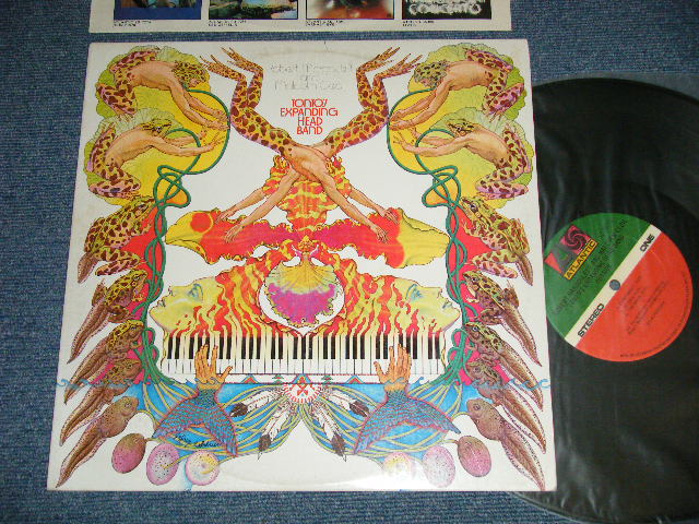 画像1: ROBERT MARGOULEFF & MALCOLM CECIL - TONTO'S EXPANDING HEAD BAND (Ex++/MINT-)  / 1975 US AMERICA ORIGINAL 1st Press "75 ROCKFELLER  Label" Used LP 