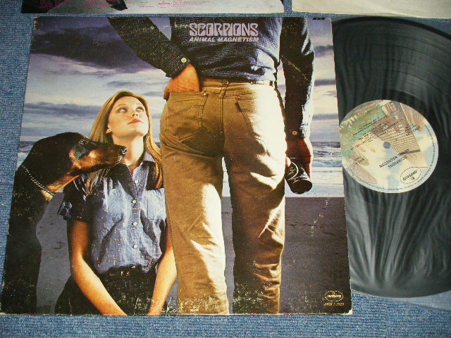 画像1: SCORPIONS - ANIMAL MAGNETISM  : with INSERTS ( Ex/MINT-)  / 1980  US AMERICA ORIGINAL Used LP   