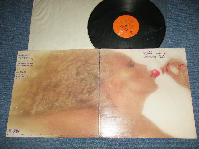 画像1: WILD CHERRY - ELECTRIFIED FUNK (Ex++/MINT-)  / 1976 US AMERICA ORIGINAL "ORANGE Label" Used LP