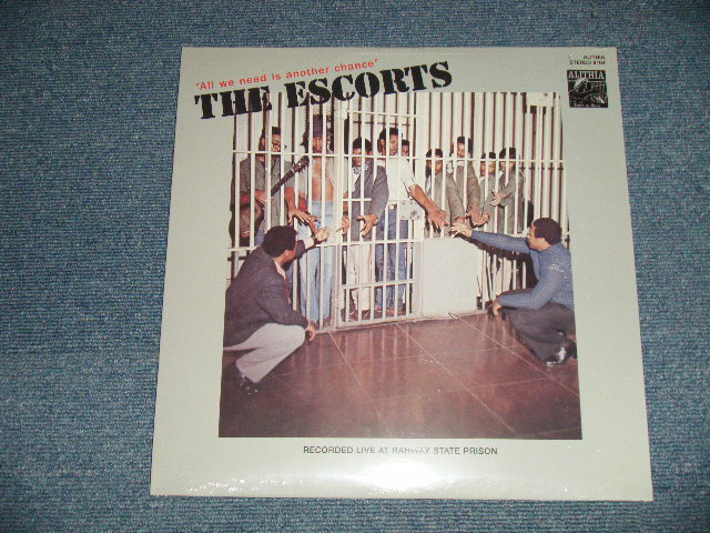 画像1: THE ESCORTS - ALL WE NEED IS ANOTHER CHANCE  (SEALED) / US AMERICA REISSUE  "BRAND NEW SEALED"  LP 