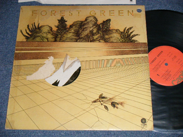 画像1: FOREST GREEN - FOREST GREEN (Ex/Ex+++ BB for PROMO)  / 1973 US AMERICA ORIGINAL Used LP