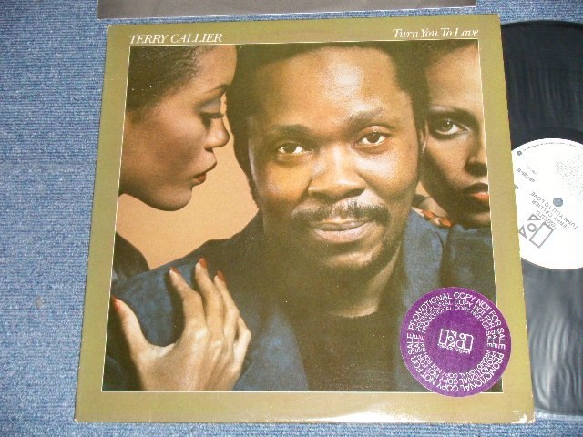 画像1: TERRY CALLIER - TURN YOU TO LOVE (Ex++/MINT- ) / 1979 US AMERICA ORIGINAL "WHITE LABEL PROMO"  Used  LP 