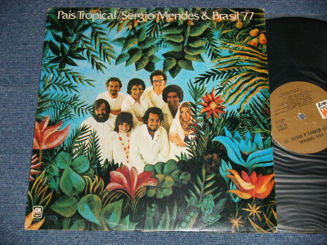 画像1: SERGIO MENDES & BRASIL '77 - PAIS TROPICAL (MATRIX # A) A&M SP 4529 (RE-1) T1   B)A&M SP 4530 (RE-1) T1 ) (Ex+/MINT-)  / 1971 US AMERICA Original Stereo "BROWN LABEL" Used LP 