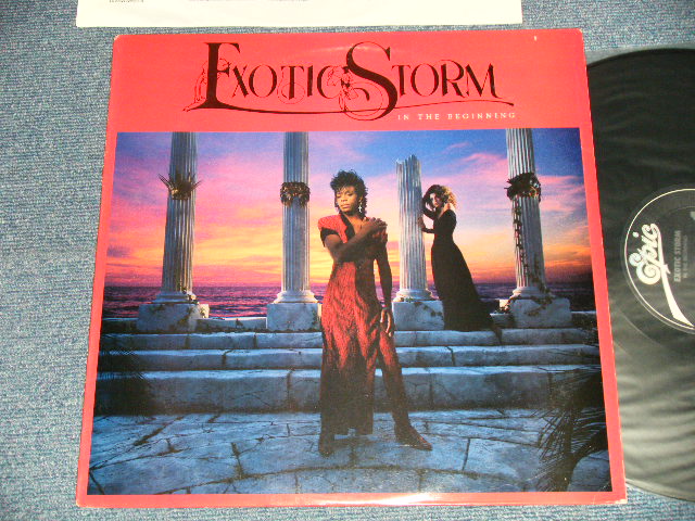画像1: EXOTIC STORM - IN THE BEGINNING (Ex++/MINT-) /1986 US AMERICA ORIGINAL Used LP 