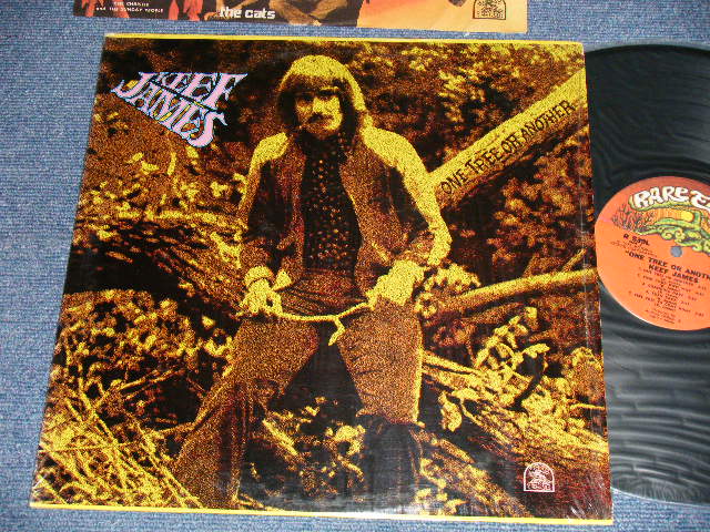 画像1: KEEF JAMES - ONE TREE OR ANOTHER (MINT-/MINT-) / 1972 US AMERICA ORIGINAL Used LP