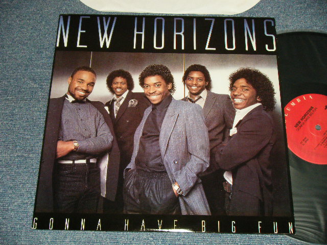 画像1: NEW HORIZONS - GONNA HAVE BIG FUN (MINT/MINT-) / US AMERICA REISSUE Used LP