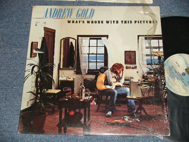 画像1: ANDREW GOLD - WHAT'S WRONG WITH THIS PICTURE?  (Ex+++/Ex++ Looks:VG+++)  / 1976  US AMERICA ORIGINAL Used LP 