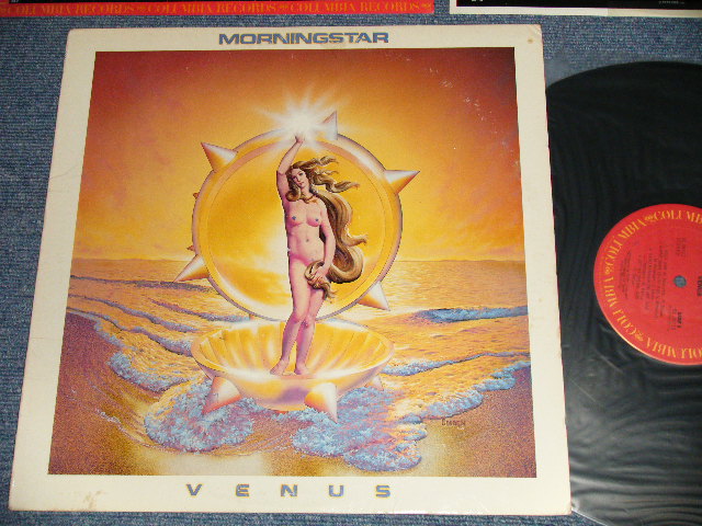 画像1: MORNINGSTAR - VENUS (Ex++/MINT- B-1:Ex) / 1979 US AMERICA ORIGINAL Used LP 