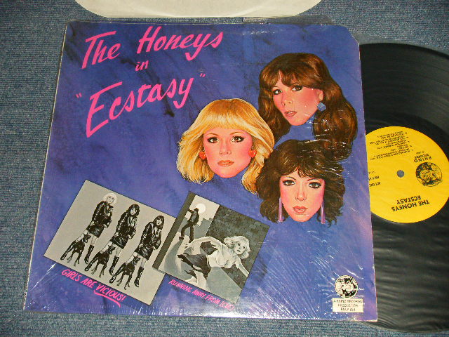 画像1: HONEYS - IN ECSTASY (MINT-/MINT-  Cutout) / 1983 US AMERICA ORIGINAL Used LP 