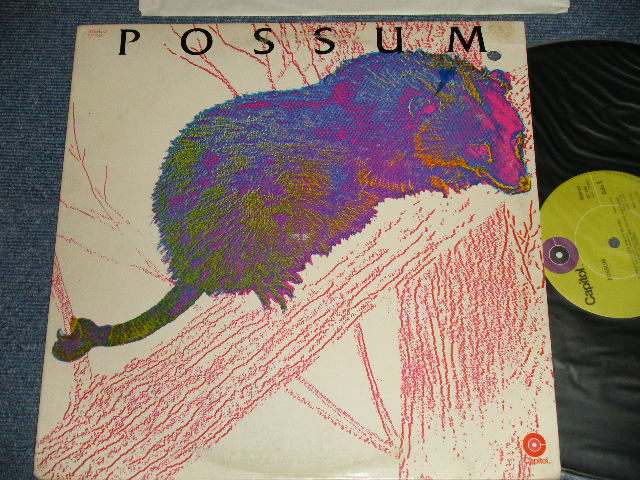 画像1: POSSUM - POSSUM (With RY COODE) (Ex++/MINT- BB for PROMO) / 1971 US AMERICA ORIGINAL "PROMO" Used LP 