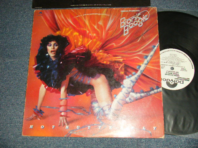 画像1: GREGG DIAMOND BIONIC BOOGIE - HOT BUTTERFLY (Ex/Ex+++ Looks;Ex, MINT-) / 1978 US AMERICA ORIGINAL "WHITE LABEL PROMO GOLD STAMP" Used LP