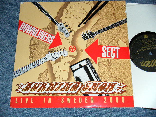 画像1: DOWNLINERS SECT - BURNING SNOWL IVE IN SWEDEN 2000 (NEW EDSP) / 2000 SPAIN  ORIGINAL "BRAND NEW" 10" LP