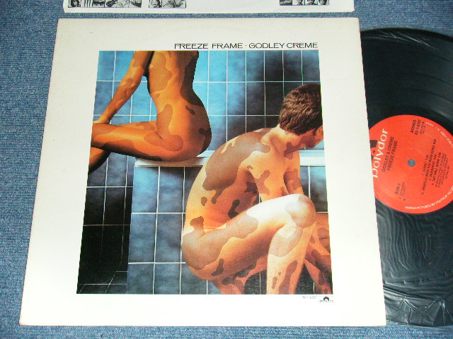 画像1: GODLEY & CREME (10CC) - FREEZE FRAME (With CUSTOM INNER)  (Ex+++/MINT-) / 1979 US AMERICA ORIGINAL Used LP