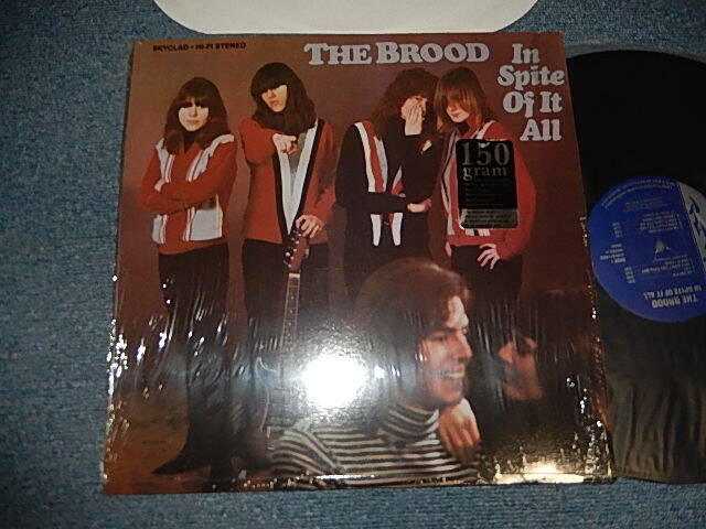 画像1: The BROOD - IN SPITE OF IT ALL (MINT/MINT) / 1988 US AMERICA ORIGINAL Used LP