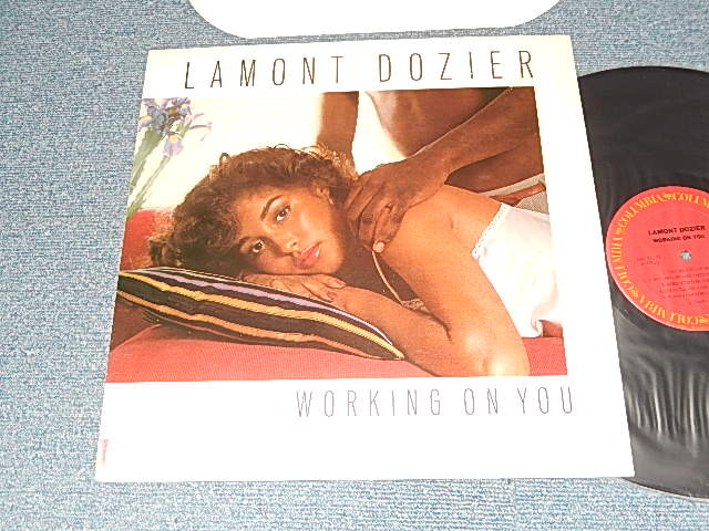 画像1: LAMONT DOZIER - WORKING ON YOU  (Ex++/Ex+++) / 1981 US AMERICA ORIGINAL Used LP 