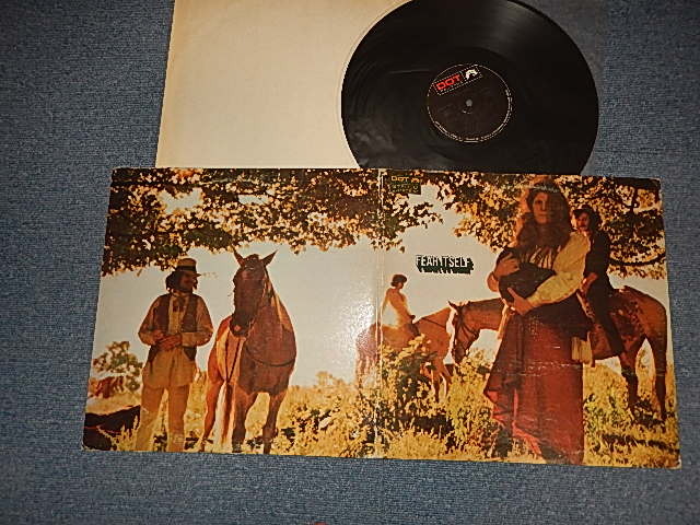 画像1: FEAR ITSELF (ELLAN McLLWAINE) - FEAR ITSELF (Matrix # A)LPS 76873 I + A1 B)LPS 76874 I + A1  "RCA Records Pressing Plant, Indianapolis Press") (Ex+/Ex++ BB) / 1969 US AMERICA ORIGINAL Used LP 