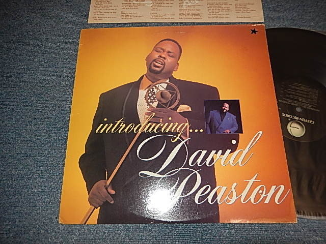 画像1: DAVID PEASTON - INTRODUCING (With CUSTOM INNER) (Ex+/Ex+ Looks:Ex++) / 1989 US AMERICA  ORIGINAL Used LP 